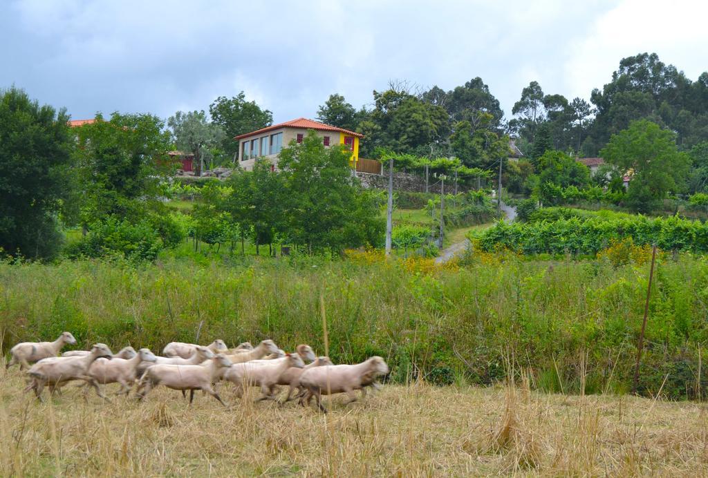 Gasthaus Quinta Do Olival Arcos de Valdevez Exterior foto